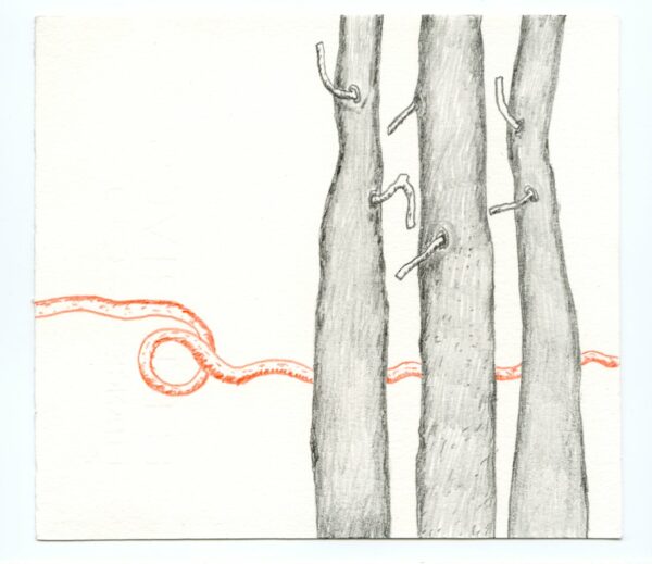 Les arbres et la bibliothèque – Image 6