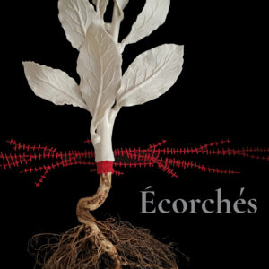 Écorchés